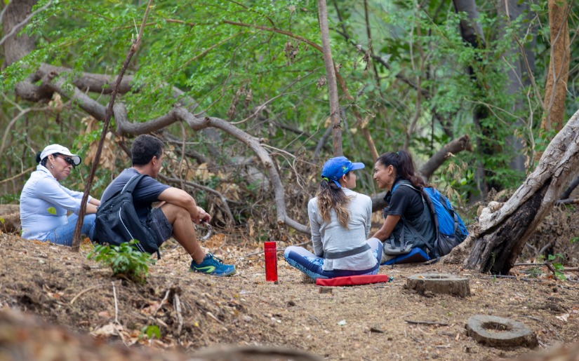 An Introduction to Forest & Nature Therapy